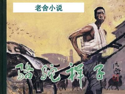 香蕉官方app